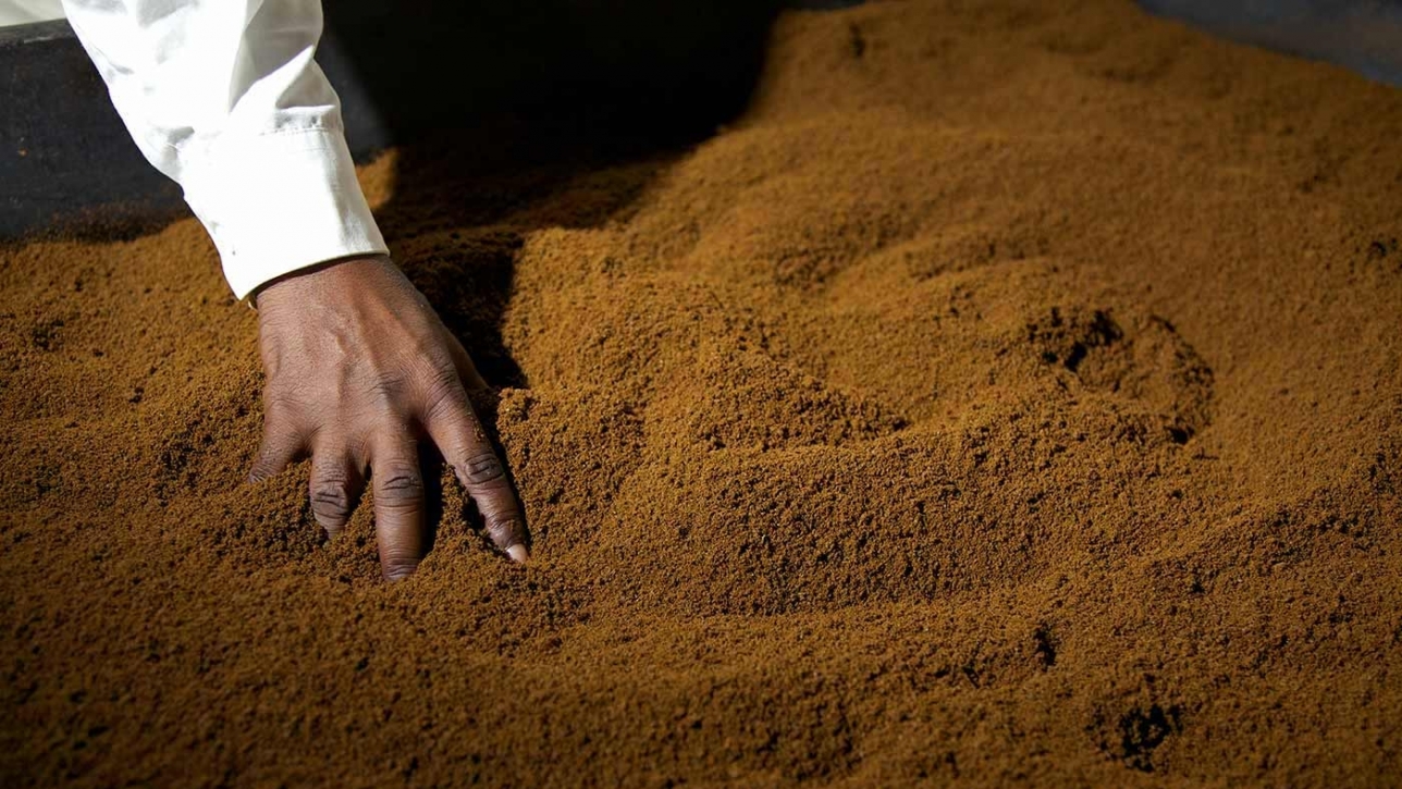 Rwandan Tea Sector