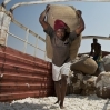 Gatsby's work in East Africa - An overview