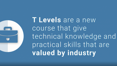 What are T-levels?