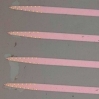 Neuroprobes
