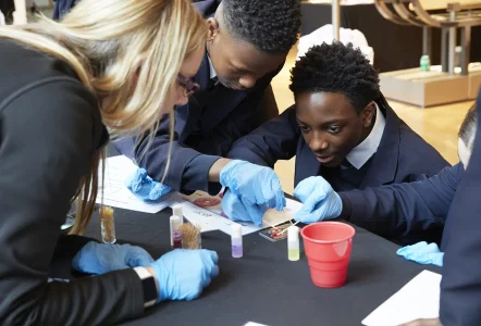 Students involved in a group activity at the David Sainsbury Gallery