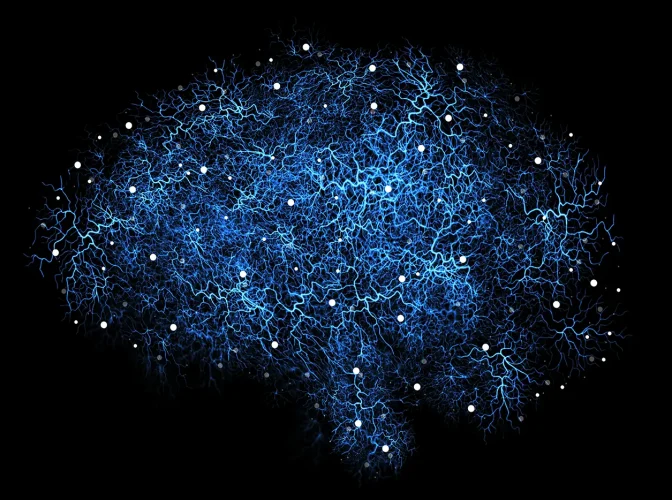 Digital rendering of a human brain