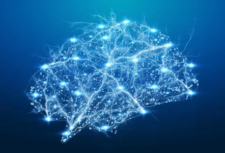 Digital x-ray human brain 3D rendering