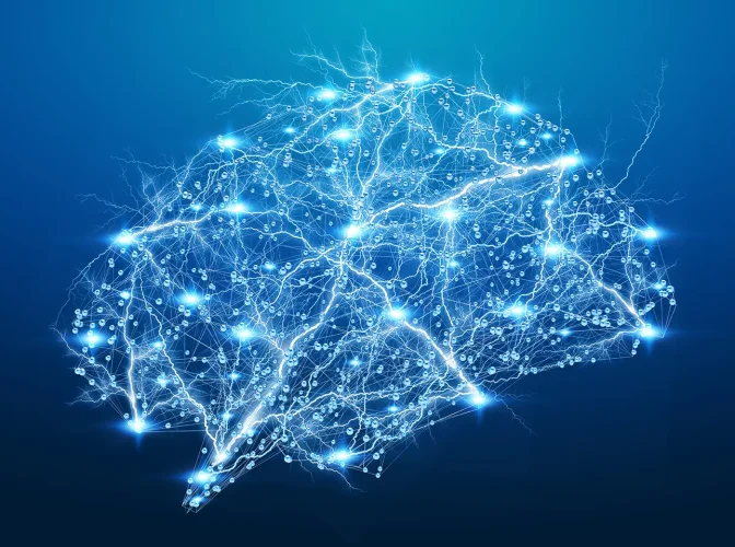 Digital x-ray human brain 3D rendering