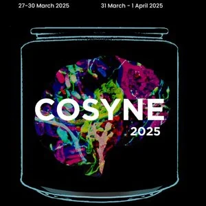 Cosyne 2025 poster