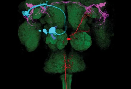 Artwork depicting brain activity