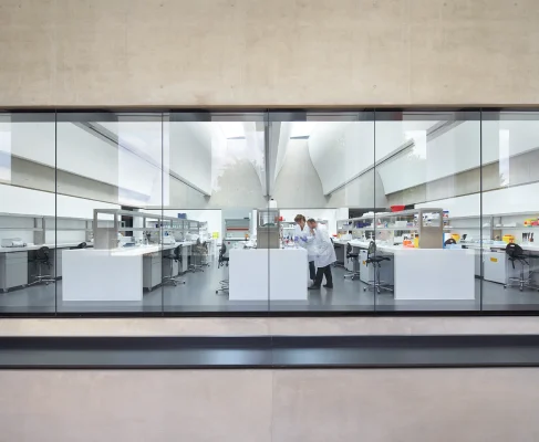 Two scientists working in a laboratory