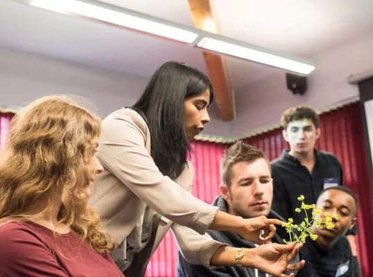 Teacher showing plant to plant science students in class