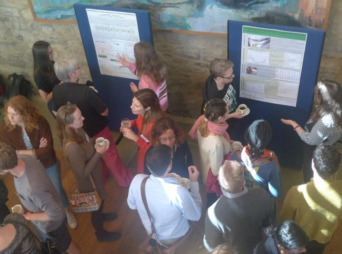 Group of people networking