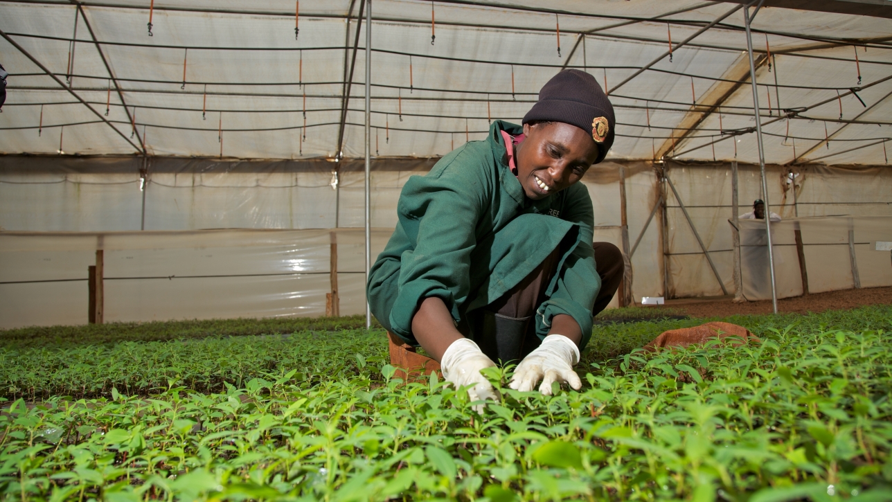 Environmental education jobs in kenya
