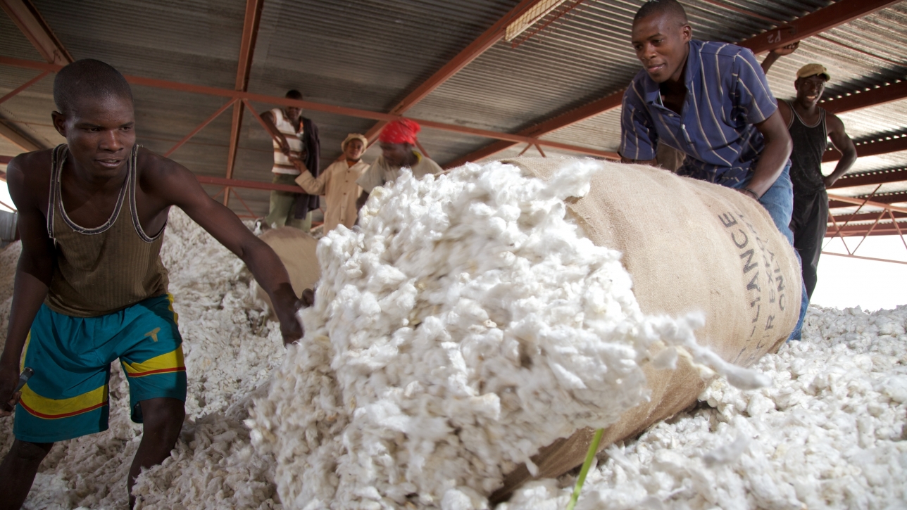 Tanzanian Cotton & Textiles Sector