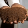Rwandan Tea Sector