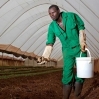 Venture Capital for African Agriculture 