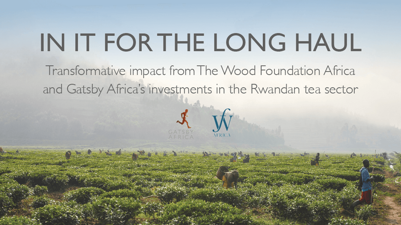New Case Study: Investing to boost factory profits, raise farmer incomes and transform lives
