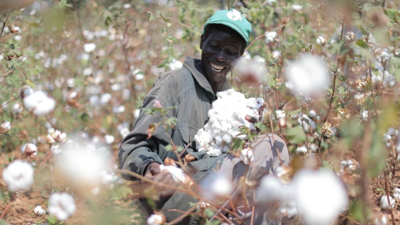Tanzanian Cotton &amp; Textiles Sector | Africa | Gatsby