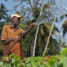 Research - Development Finance: How it can enable the growth and transformation of agriculture