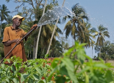 What type of development finance can kickstart sectors?