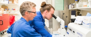New study shows the impact of the COVID-19 pandemic on further education (FE) recruitment