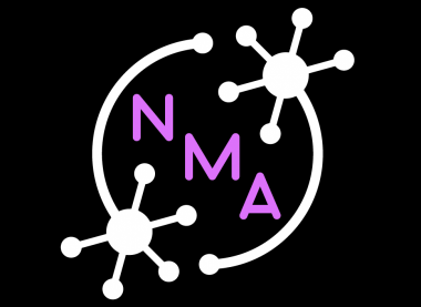 Neuromatch Academy