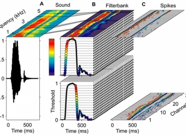 Theoretical Neuroscience