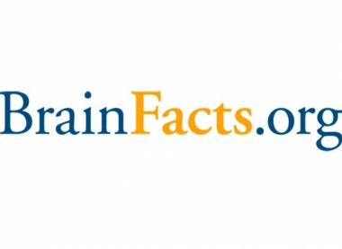 BrainFacts