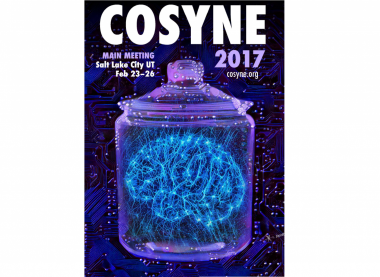 Conference Series - Cosyne
